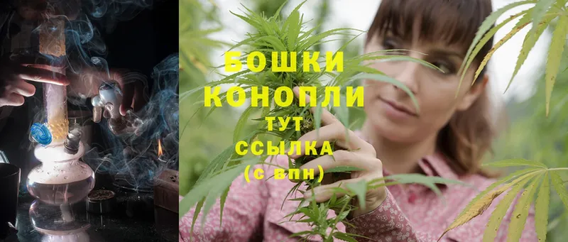 где можно купить   Верея  Бошки Шишки THC 21% 